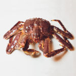 cua hoang de king crab alaska